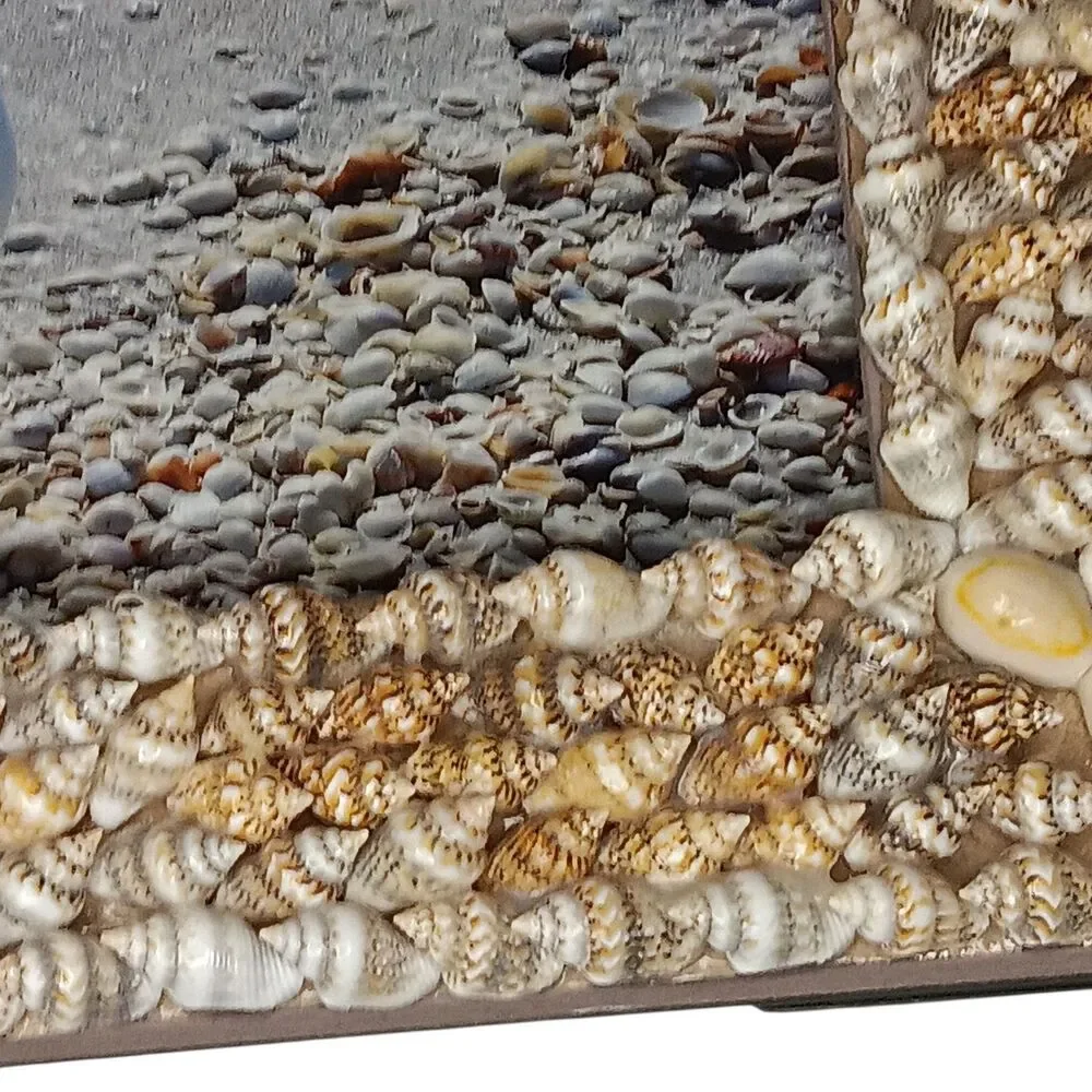 Seashell Tabletop Photo Frame 7.5